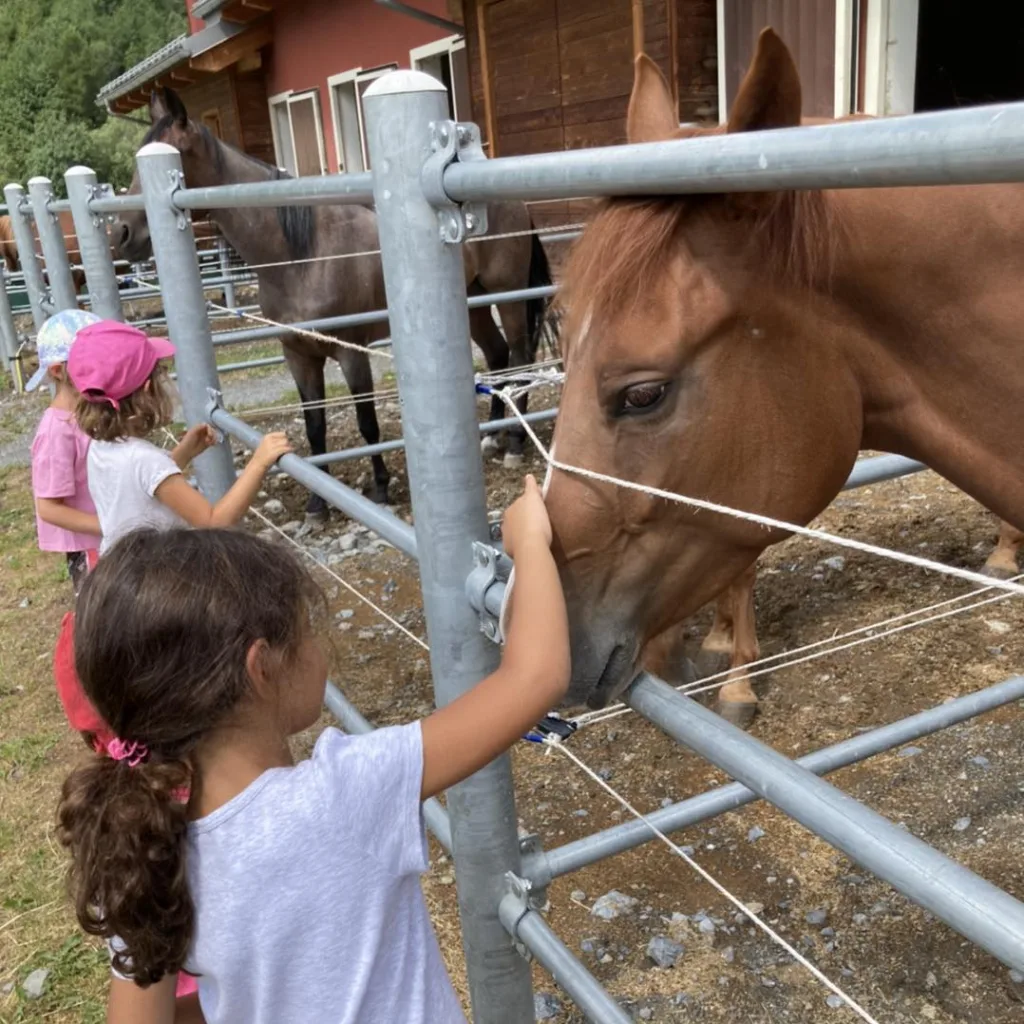 cavalli estate bambini bormio