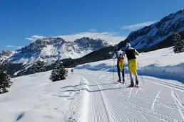 pistes de ski de fond