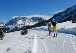 pistes de ski de fond